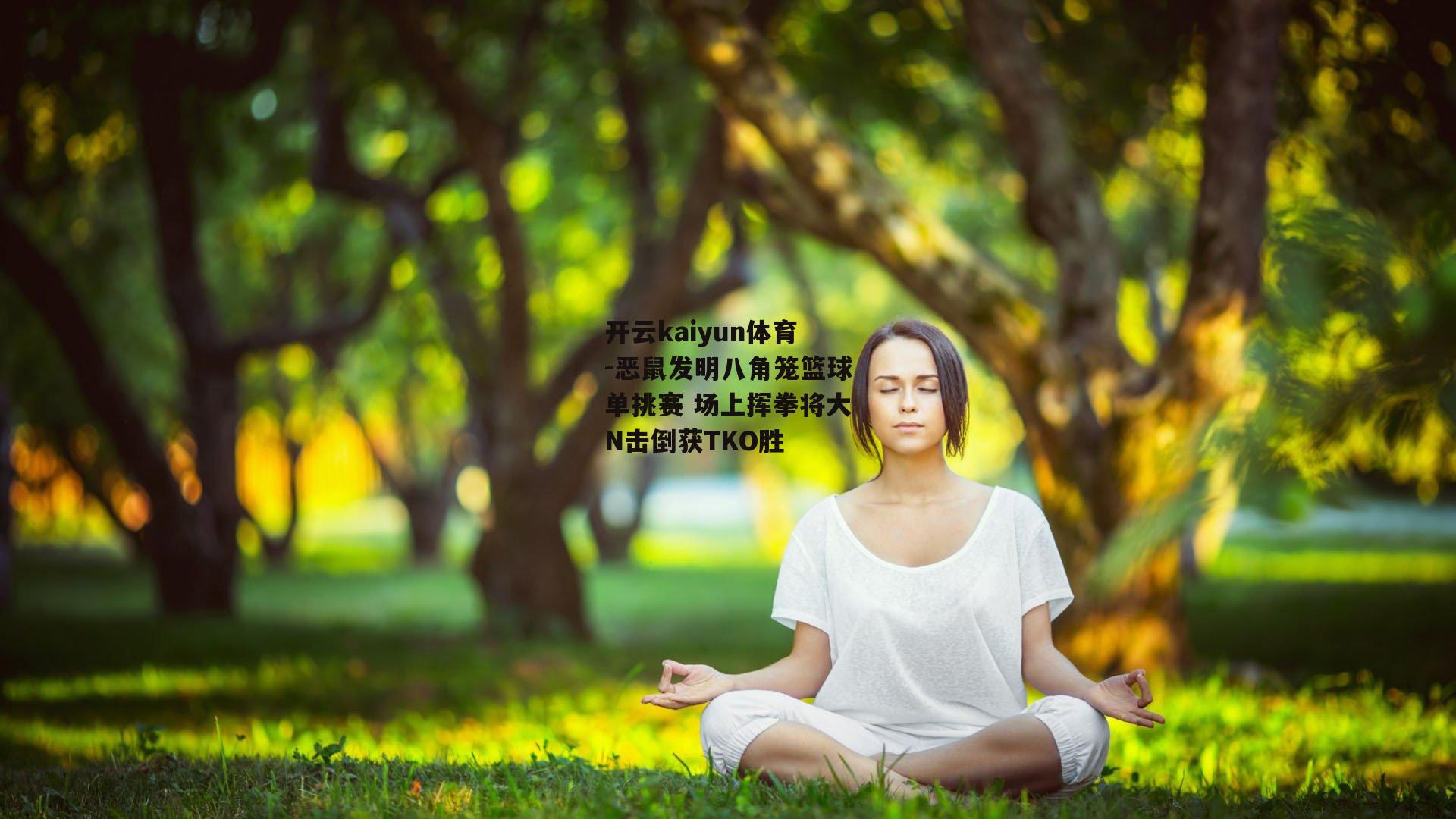 开云kaiyun体育-恶鼠发明八角笼篮球单挑赛 场上挥拳将大N击倒获TKO胜